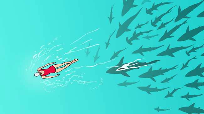 Các quỹ nước ngoài giống đàn cá mập, còn startup VN lúc này giống cô áo bơi đỏ